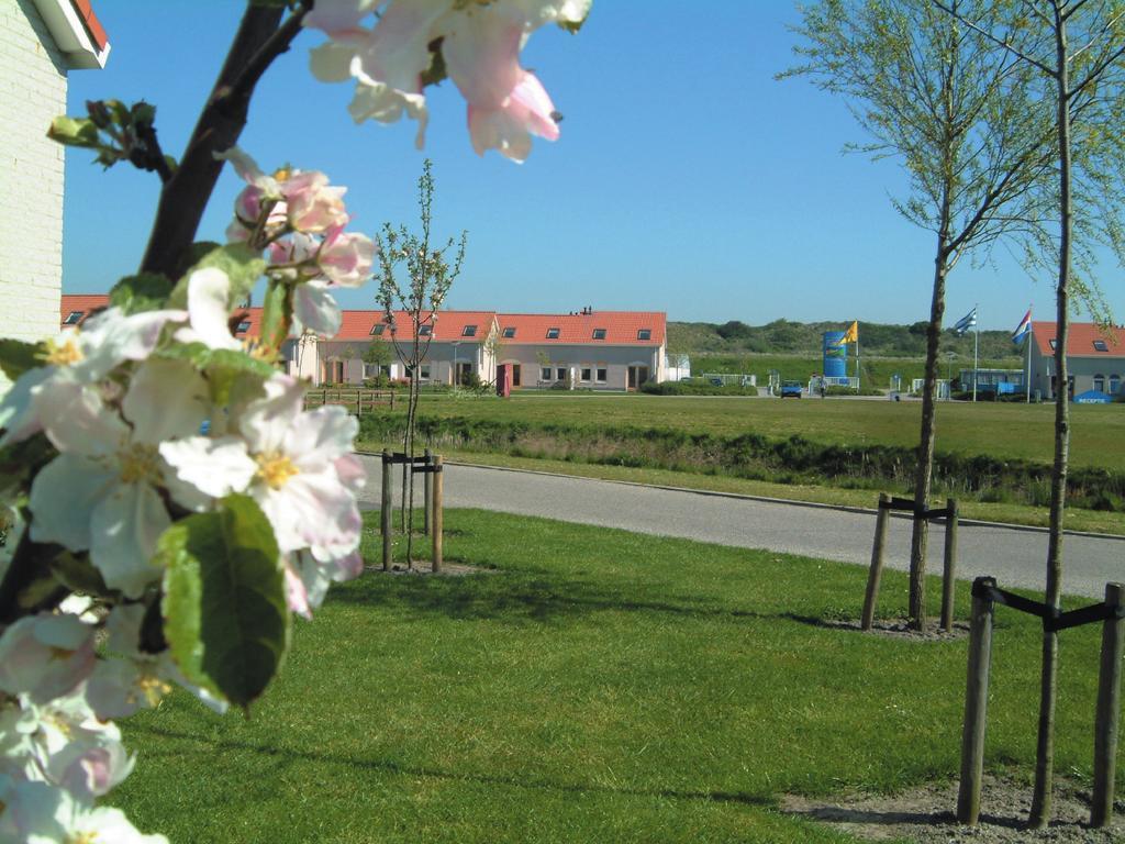 De Soeten Haert Hotell Renesse Exteriör bild